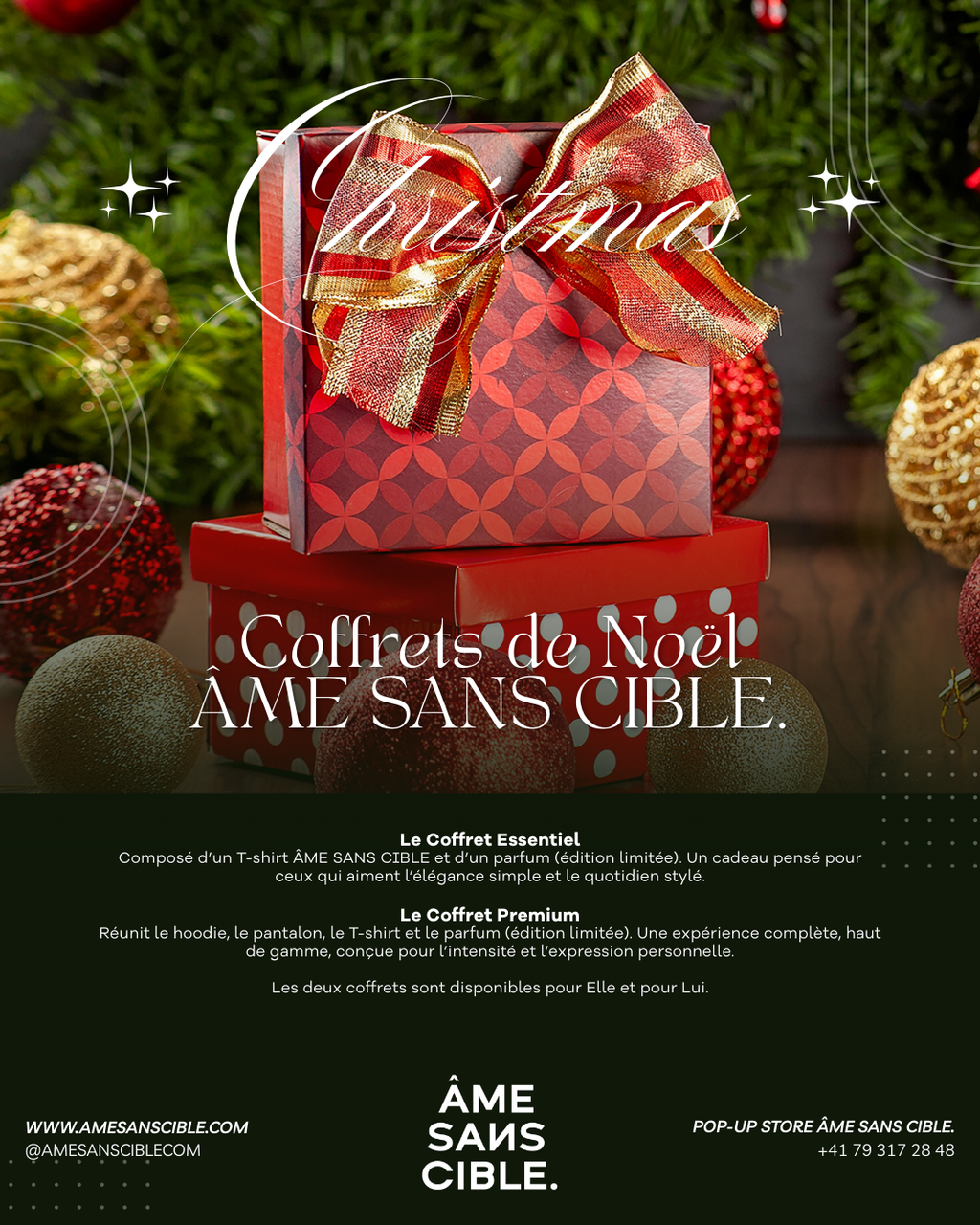 COFFRET PREMIUM ÂME SANS CIBLE (Édition Noël 2025)